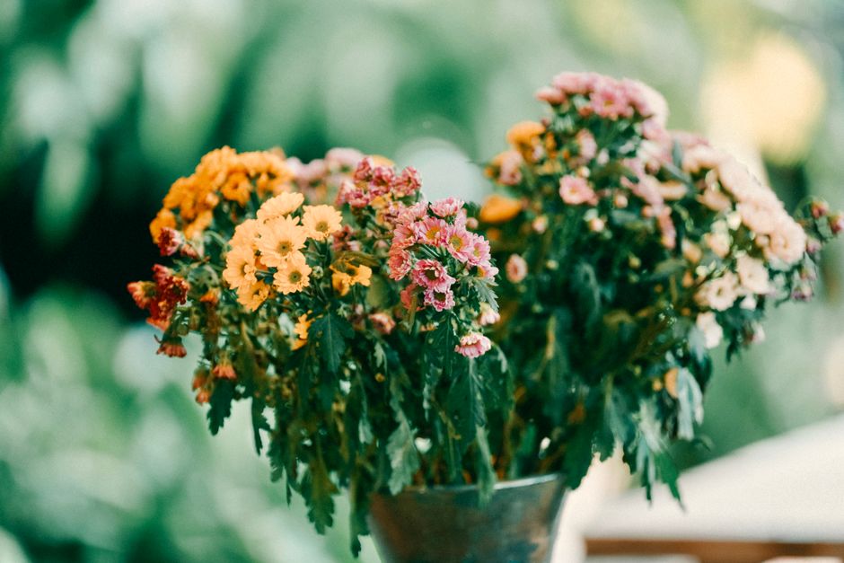 A vibrant floral arrangement featuring a mix of chrysanthemums in shades of yellow, pink, and orange with lush green foliage. The bouquet is arranged in a dark glass vase, placed on a wooden surface w