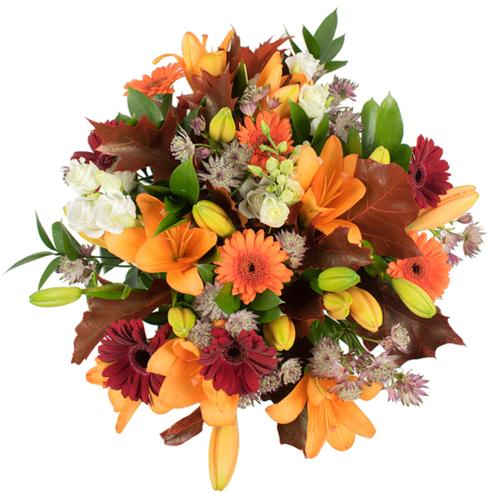 A lush, vividly textured autumn bouquet presented from a slightly raised vantage point on a pure white background, where the colours breathe and the horticultural craft is plainly visible. Dominating the arrangement are several fully opened orange Asiatic lilies, their broad, satiny petals curling outward with eloquent movement, surrounded by a lively mix of bright orange and deep burgundy Gerbera daisies whose radial petals form sunny, energetic cores. Nestled between these stronger shapes are creamy white Lisianthus blossoms, their layered, ruffled petals softening the composition and offering contrast to the more graphic gerbera faces. Filigree-like clusters of muted purple Astrantia add fine, starry texture and airiness, while many green and warm-tinged lily buds sit quietly, introducing depth and the promise of unfolding beauty over time.

Rich, lobed oak-like leaves in reddish-brown and chestnut are thoughtfully arranged through the bouquet to echo the fallen foliage you might see on a stroll from the High Road into Whetstone's quieter streets, lending an unmistakable seasonal signature. Fresh green leaves and slender stems braid through the stems, providing structure and a lively backdrop to the warmer tones. The bouquet is composed tightly for fullness and longevity, lit so that every petal and leaf reads clearly against the white field. As a local florist I picture it on a Thanksgiving table or sent as a heartening autumn gift across Whetstone, Totteridge, or Barnet; at Flowers Whetstone we often craft this style for intimate harvest celebrations or cosy birthday surprises, where its scent and colour bring the outdoors inside.