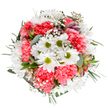 This bouquet exudes the joy of an early spring morning in Whetstone, its handpicked coral-pink carnations and cheerful white daisies arranged in a round, harmonious composition. The velvety carnation blooms cradle crisp daisy petals, each center glimmering a fresh green, like dew on the grass of Friary Park. Feathery gypsophila drifts between the blossoms, bringing lightness and movement, while delicate alstroemeria buds add hints of blush and purple, signifying the promise of blossoms yet to unfurl. Eucalyptus sprigs, with their soft silvery-green hue, nestle among deeper foliage, framing the display and offering a whisper of woodland fragrance familiar to the parks and gardens nearby. This lush, vibrant bouquet is more than a collection of flowers-it's a celebration, perfect for birthdays, anniversaries, or brightening any Whetstone home. Each stem is thoughtfully placed for beauty, longevity, and meaning, ready for same-day delivery by local florists with a passion for bringing happiness to the community.