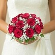 A dome of deep red roses, their velvety petals layered in flawless spirals, forms the showstopping heart of a Whetstone bridal bouquet. Tailored with expertise suited to North London weddings, the bouquet's luscious blooms radiate warmth and promise, echoing the classic beauty found in the gardens off Friern Barnet Lane or afternoons at Swan Lane Open Space. Threaded through the lavish roses are sprays of snowy white gypsophila, or baby's breath, adding airy texture and a gentle touch of innocence that softens and elevates the composition. Below, fresh green leaves peep out, reinforcing a sense of new beginnings and tying the palette to the subtle greens of local parks. The bouquet rests gracefully in a bride's carefully manicured hands, her textured ivory gown visible beneath-a masterpiece of lace or delicate embroidery, offset by a softly draped sash along her side. The entire scene is bathed in diffuse natural light, the background melting into a gentle cream blur that ensures attention remains fixed on the radiant bouquet and bridal finery. This wedding bouquet, crafted by a florist attuned to Whetstone's unique charm, conjures feelings of quiet anticipation, heartfelt celebration, and the timeless elegance that marks the most memorable ceremonies across North London.